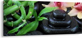 Tablou - Pietre și orhidee (120x50 cm)
