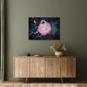 Tablou cu floare roz (70x50 cm)