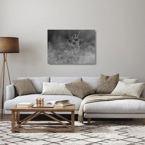 Tablou pe sticlă - Pajiște de țară (70x50 cm)