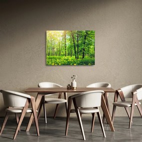 Tablou pe sticlă - Pădurea cu frunze de primăvară (70x50 cm)