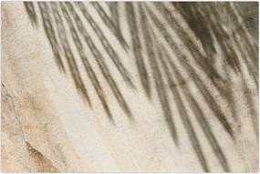 Tablou - Umbre (90x60 cm)