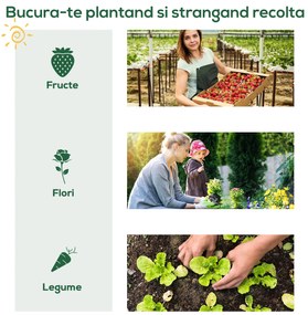 Outsunny sera de gradina, pentru plante, legume , fructe, protectia plantelor 80x49x160cm, verde | AOSOM RO