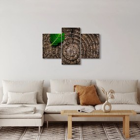 Tablou cu frunză pe trunchi de copac (90x60 cm)