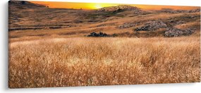 Tablou cu câmp (120x50 cm)