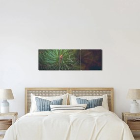 Tablou - Pin (cu ceas) (90x30 cm)