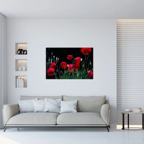 Tablou - Dansul macilor (90x60 cm)