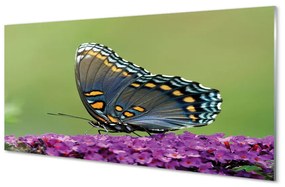 Tablouri acrilice fluture colorat pe flori