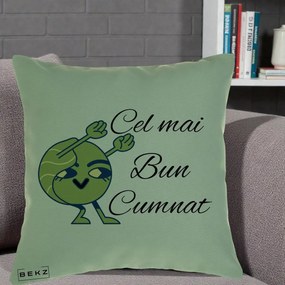 Cadou pentru Cumnat - Perna Personalizata Cel mai Bun Cumnat cu Personaj Funny Verde, 40x40 cm, Verde, Husa Detasabila, Perna Inclusa, BEKZ®