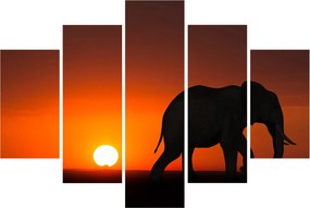 Tablou cu elefant în apus de soare (150x105 cm)