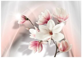 Fototapet - White magnolias