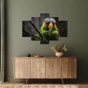 Tablou cu papagal (150x105 cm)