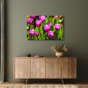Tablou cu lale pe luncă (90x60 cm)