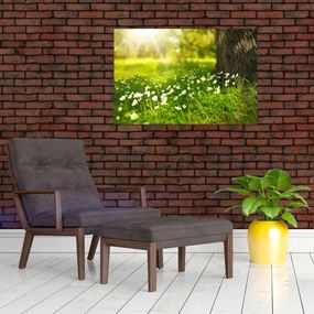 Tablou cu poiana și flori (90x60 cm)