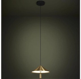 Lustră LED pe cablu Eglo 390271 PARAGUAY LED/12W/230V 3000K auriu