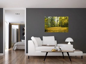 Tablou - pădurea toamna (90x60 cm)