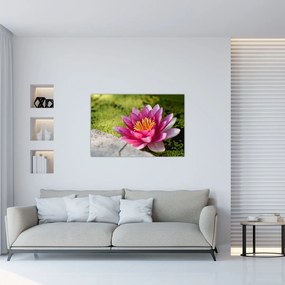 Tablou - Lotus (90x60 cm)