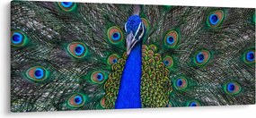 Tablou - Păun (120x50 cm)