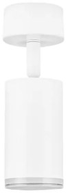 Spot aplicat directionabil protectie IP44, MAO, NVL-9011415