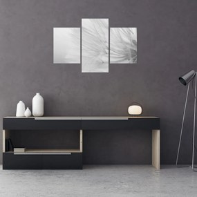 Tablou - Dandelion (90x60 cm)