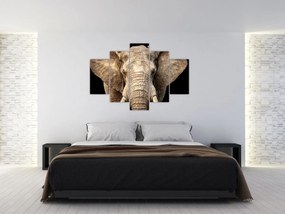 Tablou - Elefant african (150x105 cm)