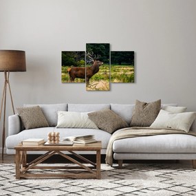 Tablou cu cerb (90x60 cm)