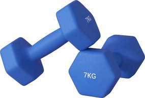 SPORTNOW Set de 2 Greutăți Hexagonale, Set de Gantere cu Prindere Antiderapantă pentru Antrenament Acasă, 24x9x9 cm, Albastru | Aosom Romania