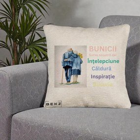 Cadou pentru Bunici - Perna Personalizata Bunicii Sursa Intelepciune Caldura Acuarela, 40x40 cm, Bej Canapea, Husa Detasabila, Perna Inclusa, BEKZ®