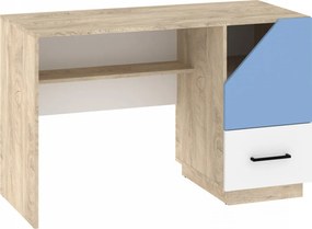 Pax Pax-01 Birou 120 1D1S Stejar Endgrain/Alb/Albastru Luminos