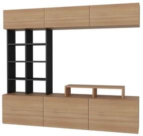 Mobilier living Salsa (Lemn teac + Negru). 1088651