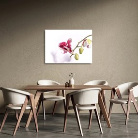 Tablou pe sticlă cu floarea de orhidee (70x50 cm)