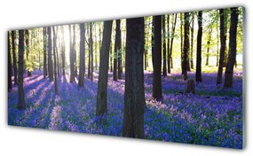 Tablouri acrilice Pădure Natura Brown Violet