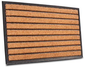 Covoraș de intrare din fibre de nucă de cocos 45x75 cm Striped – Hanse Home