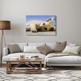 Tablou cu cățeluș dormind (90x60 cm)