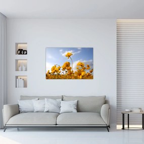 Tablou - Câmp cu flori galben deschis (90x60 cm)