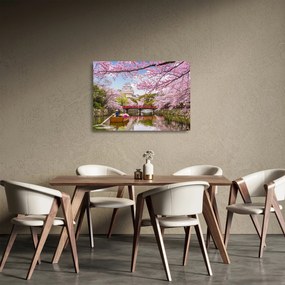 Tablou pe sticlă cu cireș japonez (70x50 cm)