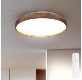 Brilagi - Plafonieră LED dimabilă ALSON LED/48W/230V 3000-6500K + telecomandă
