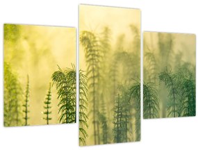 Tablou - Detaliu de primăvară natura cețoasă (90x60 cm)