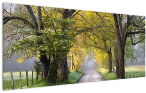 Tablou - Smoky Mountains, Gatlinburg, SUA (120x50 cm)