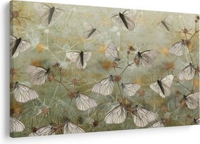 Tablou - Vintege fluturi (90x60 cm)