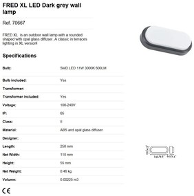 Aplica LED perete exterior stil modern IP65 FRED XL gri