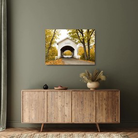 Tablou pe sticlă cu podul în Oregon (70x50 cm)