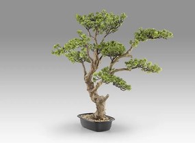 Planta artificiala, SOKAN BONSAI 81cm