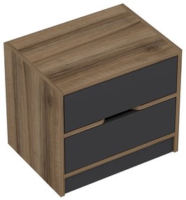 Măsuță de noptieră Elina Walnut Antracit