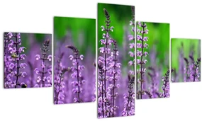 Tablou cu flori de luncă violete (125x70 cm), în 40 de alte dimensiuni noi