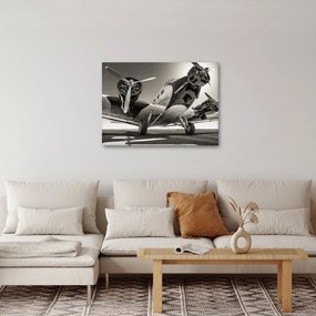 Tablou - Avioane istorice (70x50 cm)