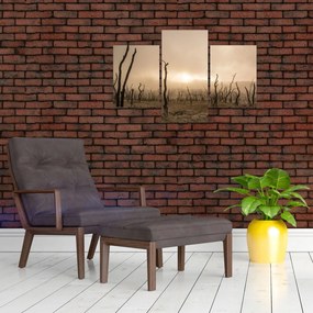 Tablou - Copaci goi (90x60 cm)