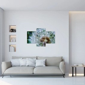 Tabloul cu păpădie desflorit (90x60 cm)