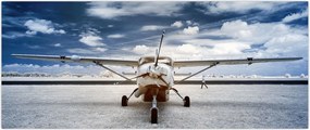 Tablou cu aeroplan cu motor (120x50 cm)