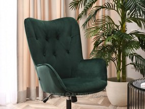 Fotoliu Truni (verde + negru). 1110429