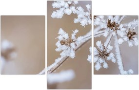 Tablou - Îngheț (90x60 cm)